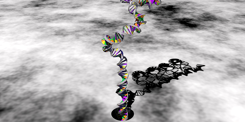 03-dna6v2.jpg